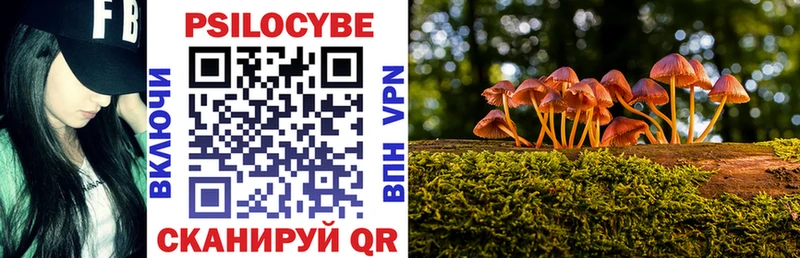 hydra ССЫЛКА  как найти наркотики  Нижнекамск  Галлюциногенные грибы Cubensis 